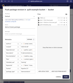 Platform_Metadata_Management